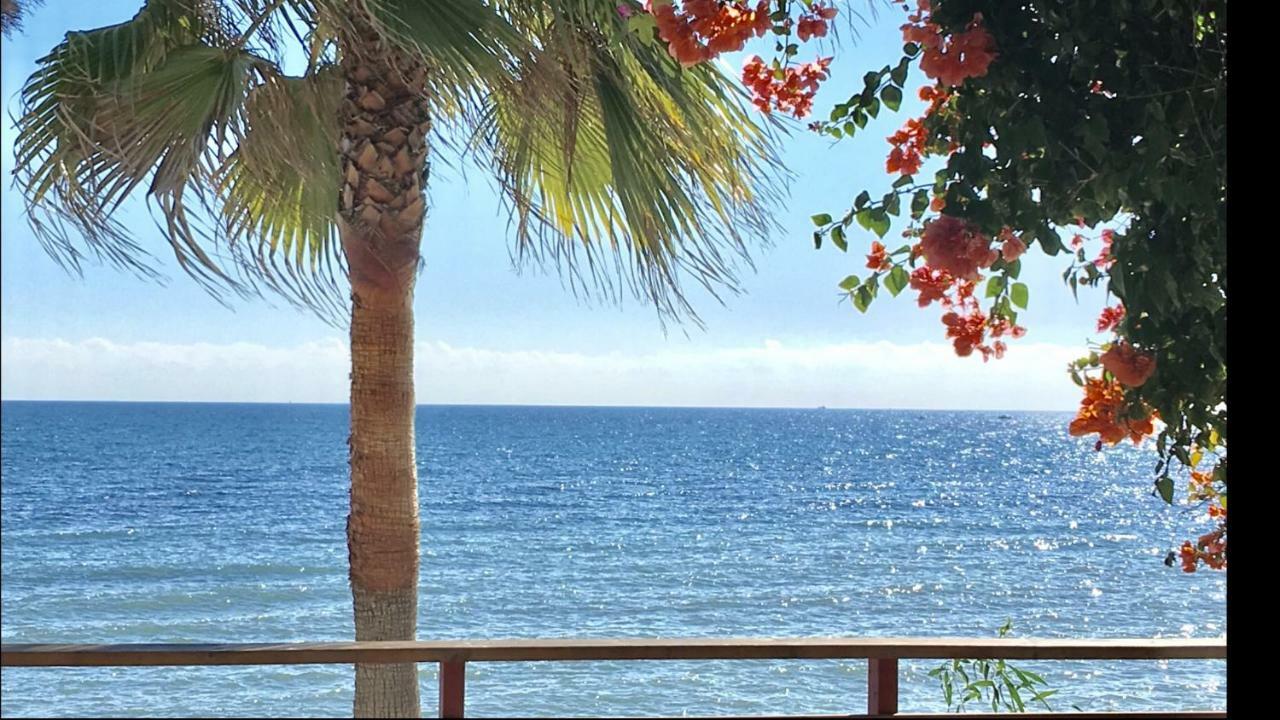 Mi Capricho A16 Beachfront Apartment Sitio de Calahonda Kültér fotó